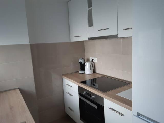 Studio Apartment Koko Rijeka Eksteriør billede